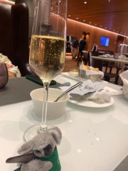 Doha4.jpg