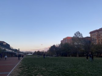 IMG_4061.jpeg