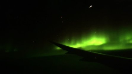 IMG_3118.JPG