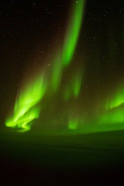 IMG_3256.JPG