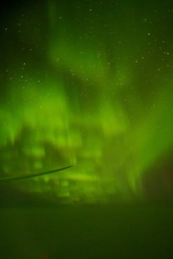 IMG_3258.JPG