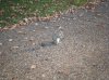 DSCF3384.jpg