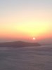 ImageUploadedByAustFreqFly1413089872.801339.jpg