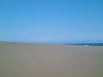 20221123_131257.jpg