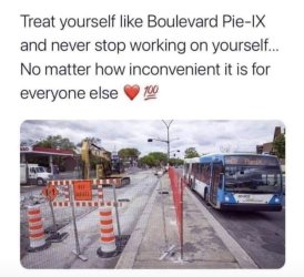 pie ix.jpg