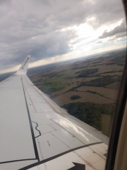 flatness.jpg