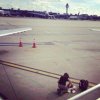 diaperchangetarmac.jpg