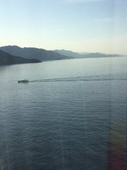 D030BB89-5D92-413D-94E0-4F80A2DC636A.jpeg