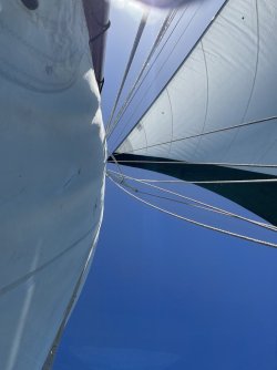 IMG_7242.JPG