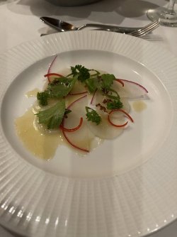 IMG_7271.JPG
