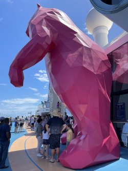IMG_7293.JPG