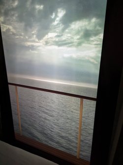 PXL_20230313_070338508.jpg