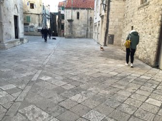 IMG_5631.jpeg