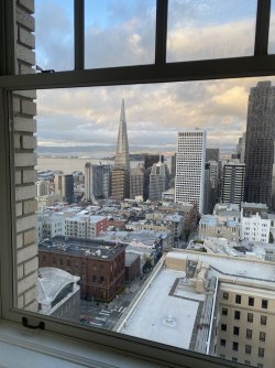 IMG_7352.jpeg