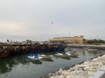 IMG_0599.jpeg