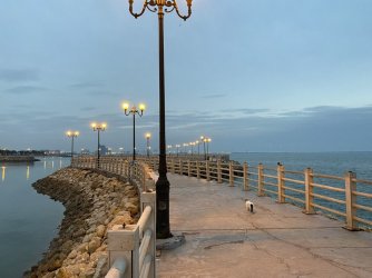 IMG_0603.jpeg