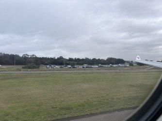IMG_2984.jpeg