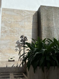 IMG_3011.jpeg