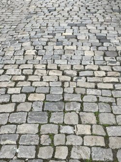 D246AA54-4BAA-4D79-80AD-F9E3D17F2330.jpeg