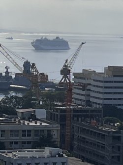 IMG_3025.jpeg