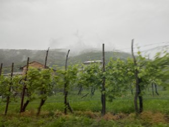 7D641E19-7C1D-493B-A1F9-F699B097149D.jpeg