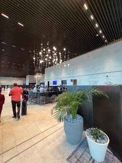 IMG_6803.jpeg