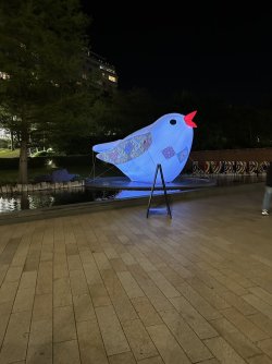 IMG_9689.jpeg