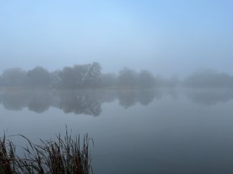 IMG_2371.jpeg