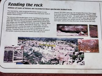 kalbarri23.jpg