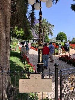 IMG_4406.jpeg