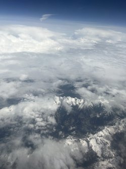 IMG_7417.jpeg