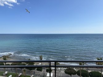 IMG_1355.jpeg