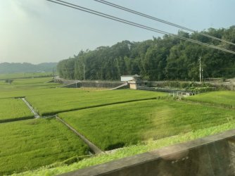 IMG_1170.jpeg