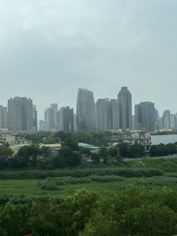 IMG_1120.jpeg