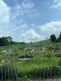 IMG_1136.jpeg