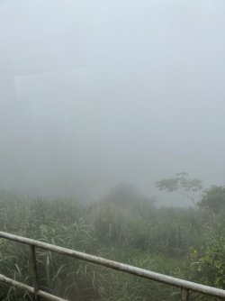 IMG_1409.jpeg