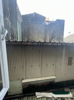 IMG_1272.jpeg