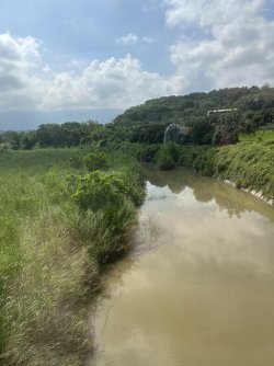 IMG_1303.jpeg