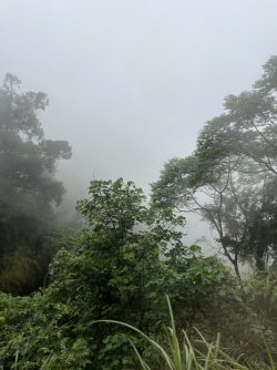 IMG_1408.jpeg