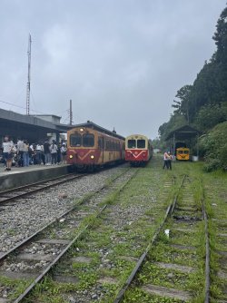 IMG_1418.jpeg