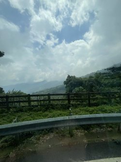 IMG_1239.jpeg