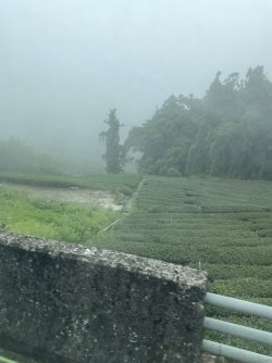 IMG_1230.jpeg