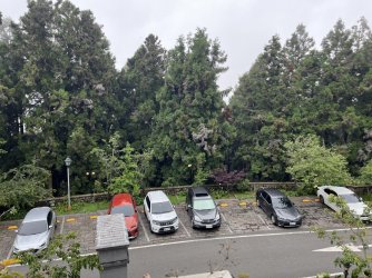 IMG_1463.jpeg