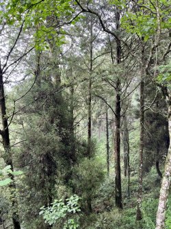 IMG_1471.jpeg