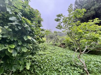 IMG_1497.jpeg