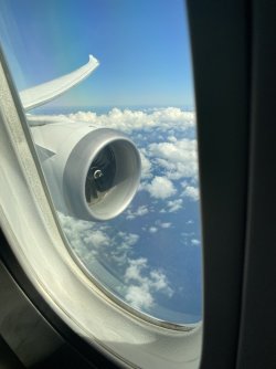 IMG_1189.jpeg