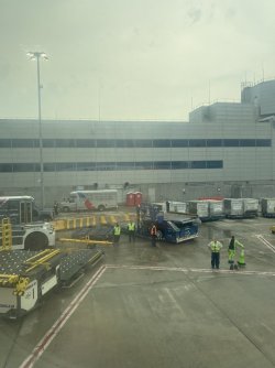 06635372-66C2-480C-A543-51F964355739_1_105_c.jpeg