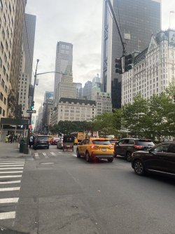 IMG_4944.jpeg