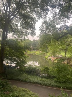 IMG_4948.jpeg