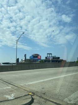 458D87AA-E151-469A-8668-33C9E8582B39_1_105_c.jpeg